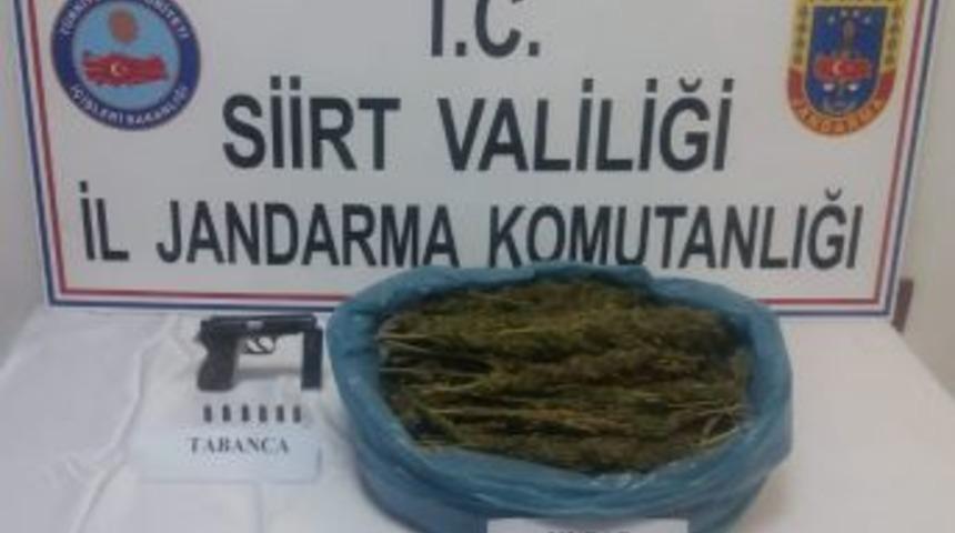 Siirt’te Esrar Ve Silah Ele Geçirildi