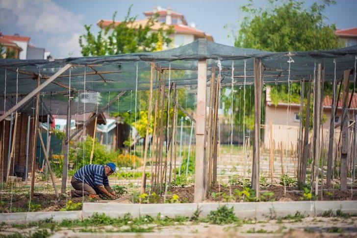 Hobi Bahçesi Sakinleri Üretmenin Hazzını Yaşıyor G2