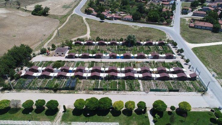 Hobi Bahçesi Sakinleri Üretmenin Hazzını Yaşıyor G3