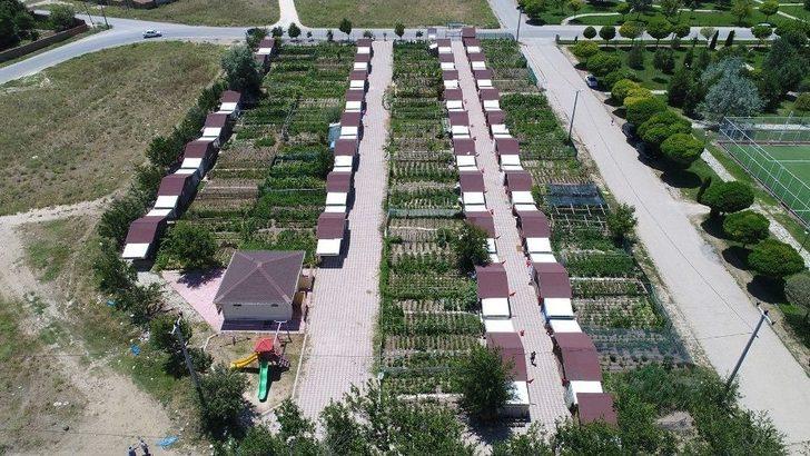 Hobi Bahçesi Sakinleri Üretmenin Hazzını Yaşıyor G4