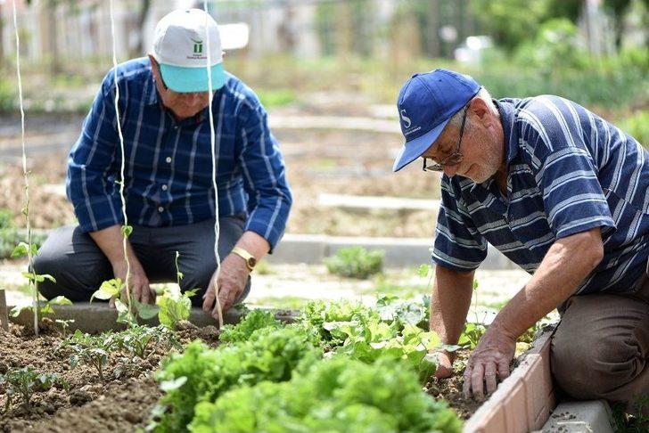Hobi Bahçesi Sakinleri Üretmenin Hazzını Yaşıyor G5