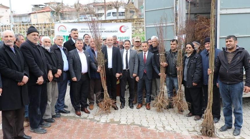 Keban&rsquo;da &Ccedil;ift&ccedil;iye 10 Bin Adet Ceviz Ve Badem Fidanı