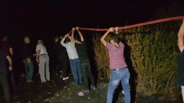 Arı Kovanları Yandı, Yangını Söndüren Vatandaşlara Arılar Saldırdı