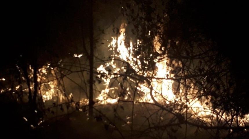 Ağa&ccedil;lık Alan K&uuml;l Oldu