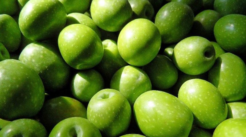 Zeytin Ve Zeytinyağı İhracatında Tarihi Rekor