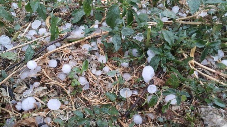 Keles’e Dolu Yağdı G2