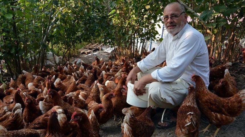 7 Yıl Önce 60 Tavukla Başladı, Şimdi Parmakla Gösteriliyor