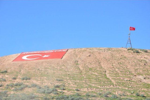 Suriyeli Stk’lardan Zeytin Dalı Harekatı’na Destek