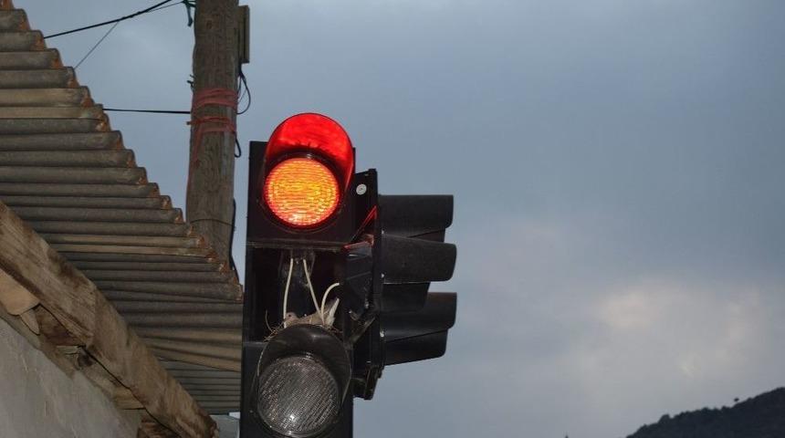 Bu Kumrunun Yuvası Güvenli Yerde