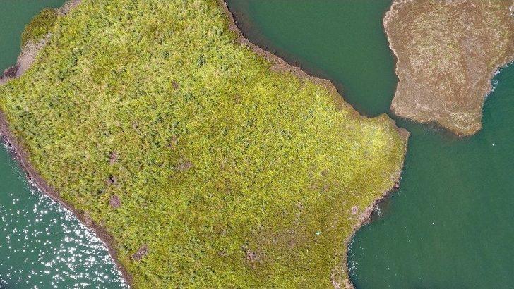 Bu Adacıklar Yerinde Durmuyor G3