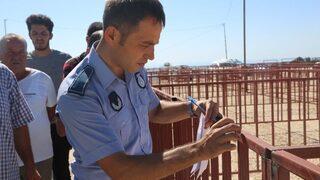 Erdemli Yeni Hayvan Pazarına Kavuşuyor