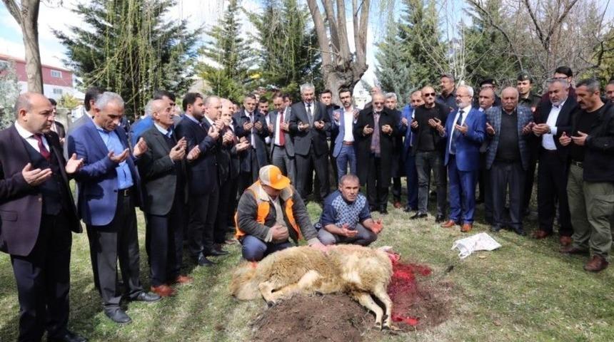 &Ccedil;orum&rsquo;da Afrin Şehitleri İ&ccedil;in Kurban Kesilerek Mevlit Okutuldu