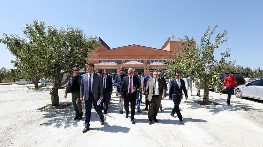 Vali Zorluoğlu Fidanlık Parkı&rsquo;nda İncelemelerde Bulundu