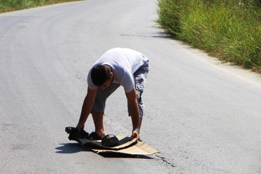 Tatilci Kaplumbağaya Siper Oldu