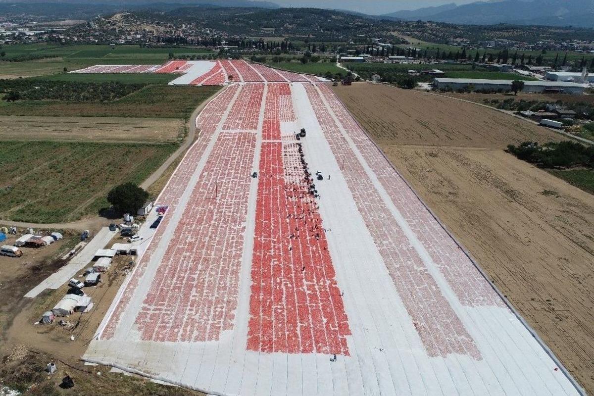 İzmir Ovaları Kırmızıya B&uuml;r&uuml;nd&uuml;