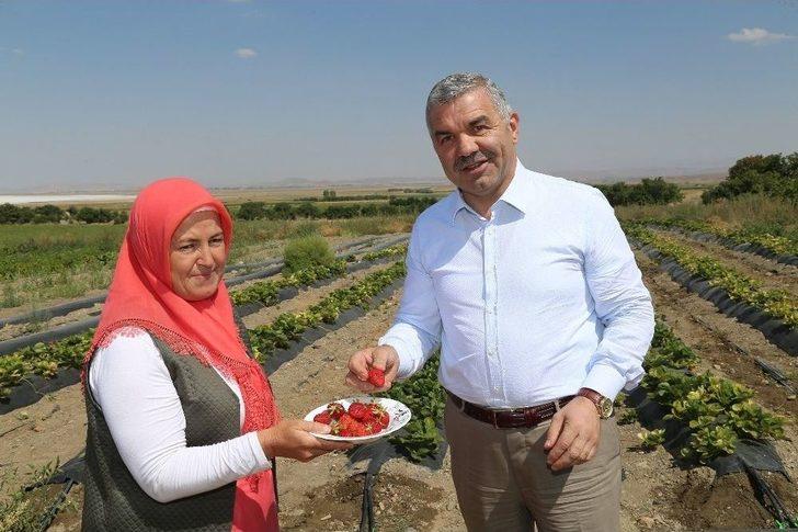 Başkan Çelik, Kadın Çiftçiler Ekolojik Eğitim Ve Üretim Merkezi’ni Ziyaret Etti G3