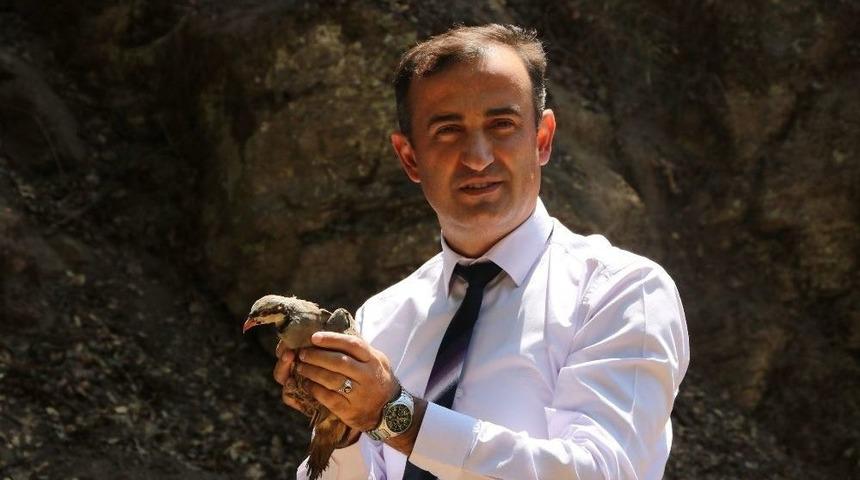 Manisa&rsquo;da Ayı G&ouml;r&uuml;ld&uuml;