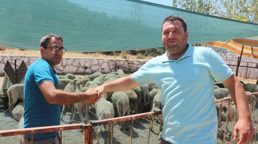 Kuşadası&rsquo;nda Kurban Bayramı Hazırlıkları Tamamlandı