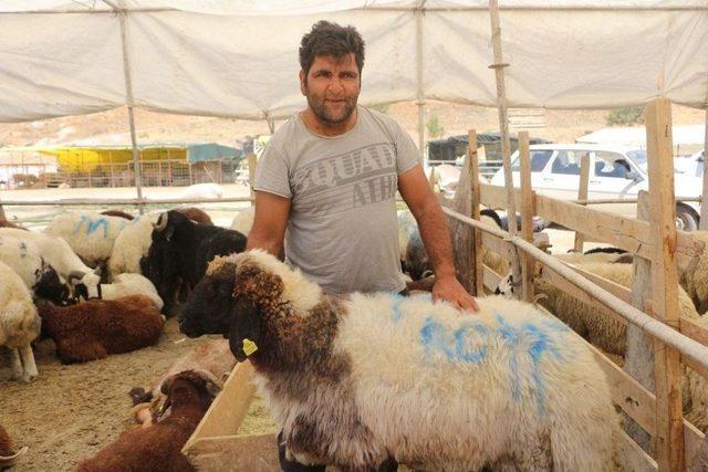 Kuşadası’nda Kurban Bayramı Hazırlıkları Tamamlandı