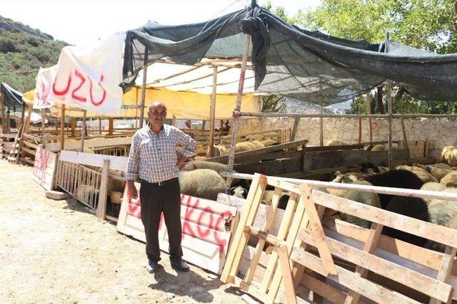 Kuşadası’nda Kurban Bayramı Hazırlıkları Tamamlandı