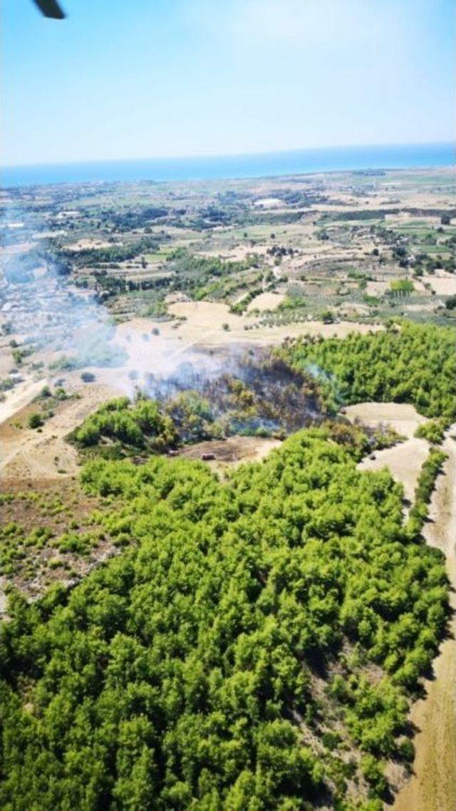 Manavgat’ta Orman Yangını