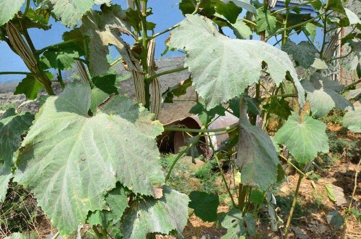 Bu Mahalle Toz Soluyor G3