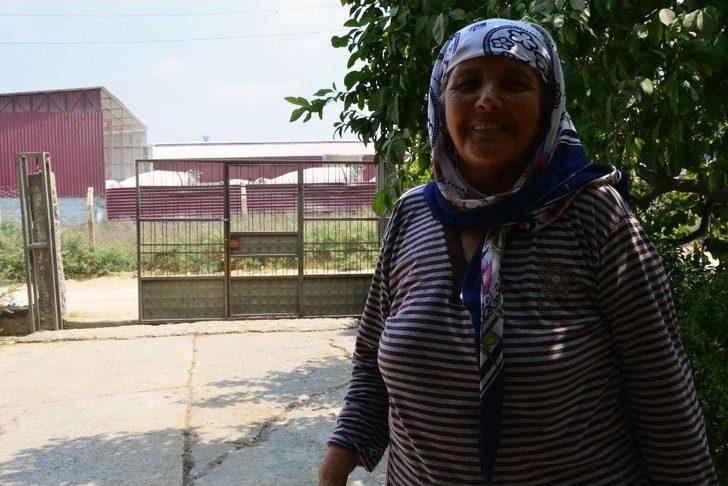 Bu Mahalle Toz Soluyor G4