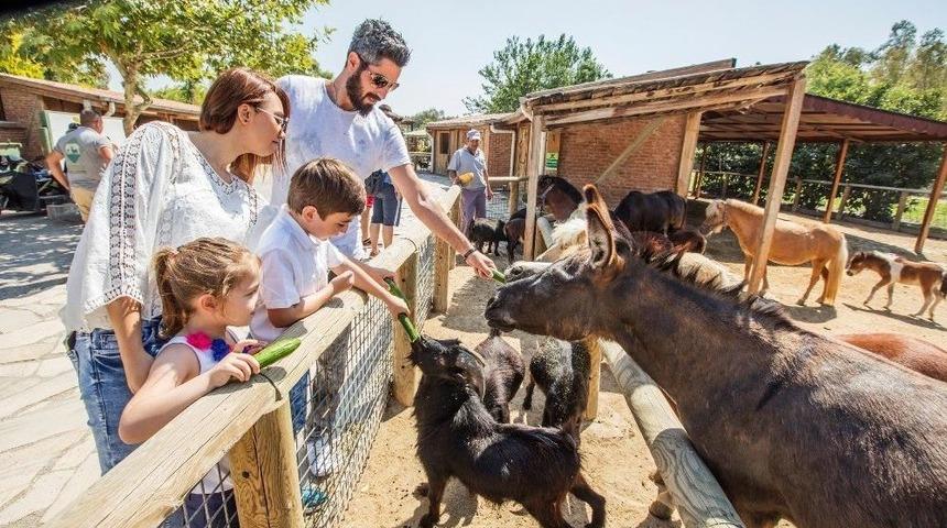 Doğal Yaşam ’bayram’ Etti