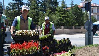 Şuhut’ta Çiçekler Açıyor