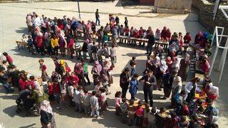 Minik Eller Pazar Kurdu