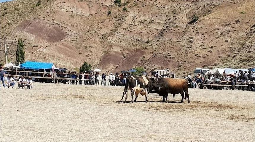 İspir&rsquo;de &Ouml;nce Boğalar Sonra &Ccedil;evredekiler G&uuml;reşti