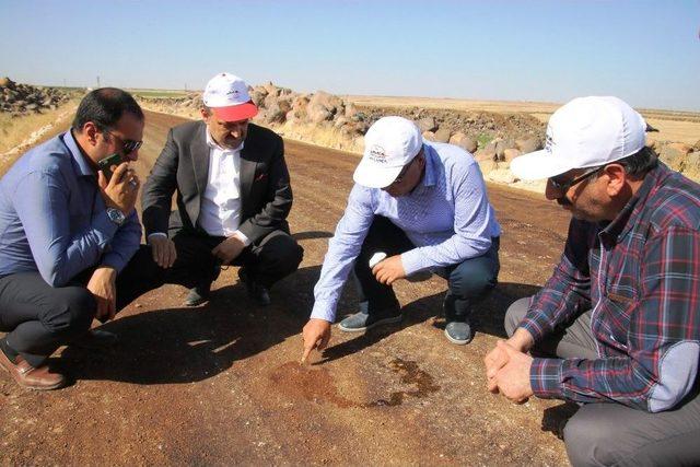 Şanlıurfa’da Kırsal Yollar Karayolları Standarlarına Getiriliyor