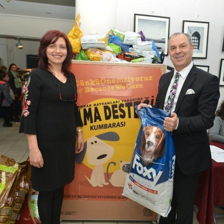 Kedi Filmini İzlemeye Mama İle Geldiler G2