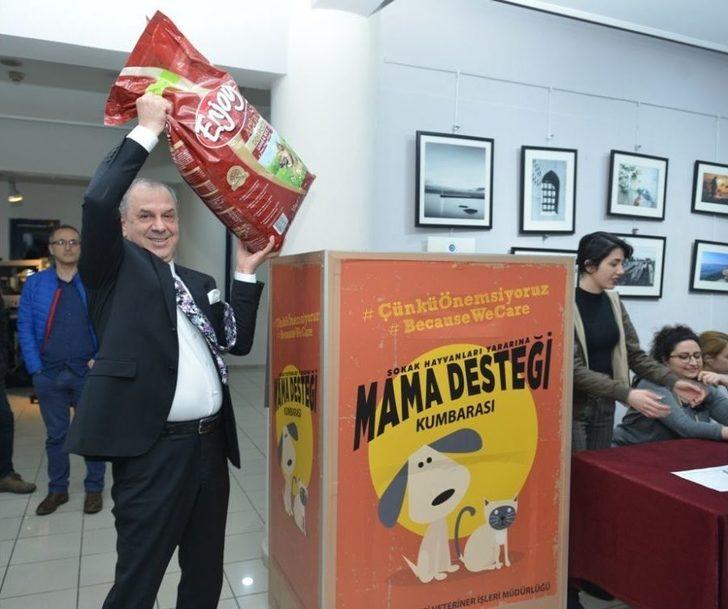 Kedi Filmini İzlemeye Mama İle Geldiler G5