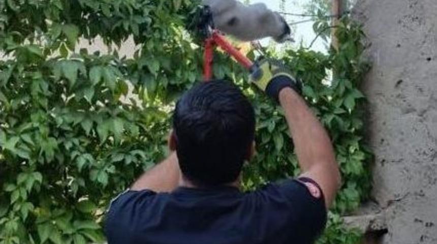 İtfaiye Ekipleri, Mahsur Kalan Hayvanları Kurtardı