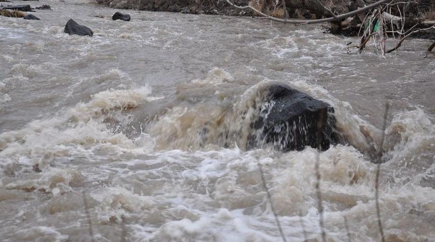 Kars &Ccedil;ayı Taşmaya Başladı