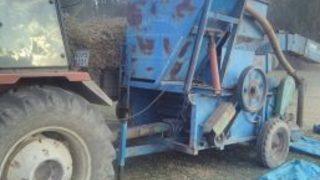 Nohut Hasadı Patozla Yapılıyor