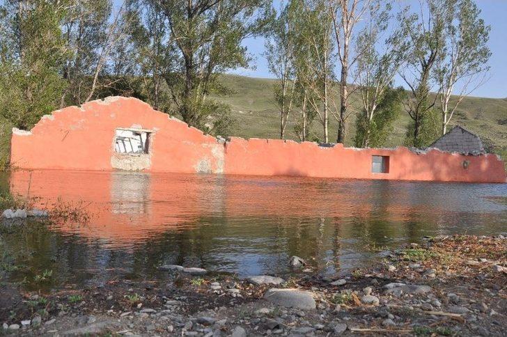 Kars Baraj Gölü Yaban Hayatına Ev Sahipliği Yapıyor G5