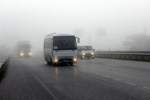 Kocaeli’nin Yüksek Kesimleri Sis Etkili Oluyor