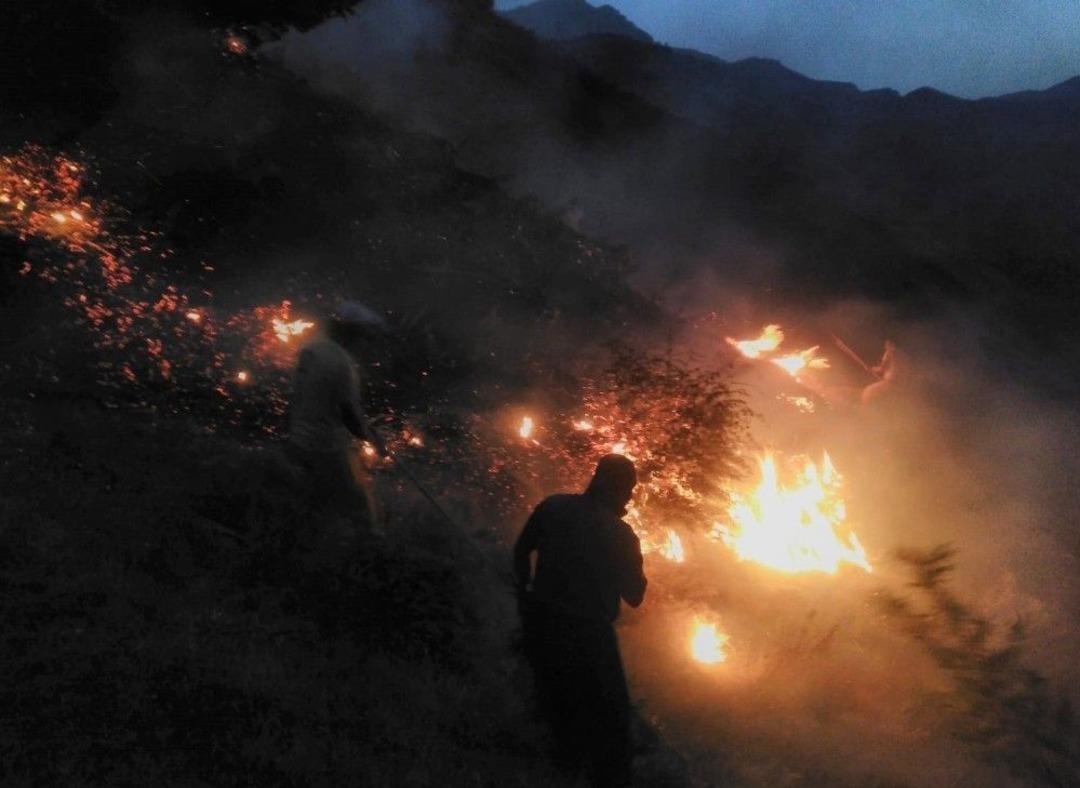 Batman&rsquo;da Orman Yangını