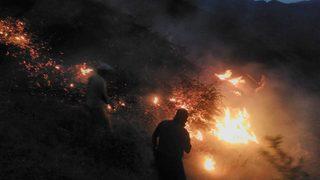 Batman’da Orman Yangını