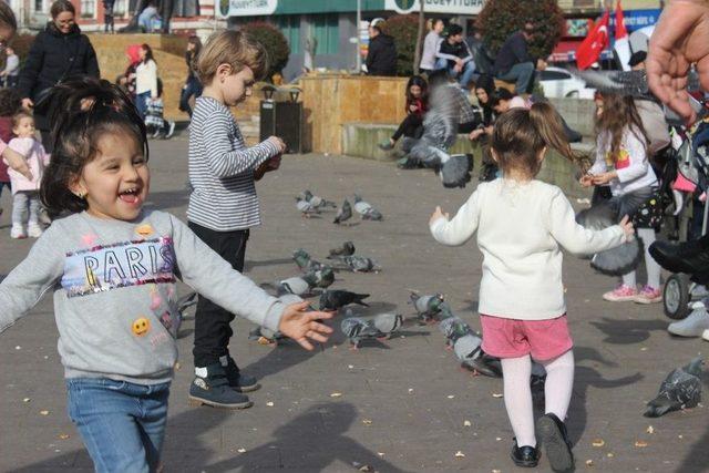 Doğu Karadeniz Kara Hasret Kaldı