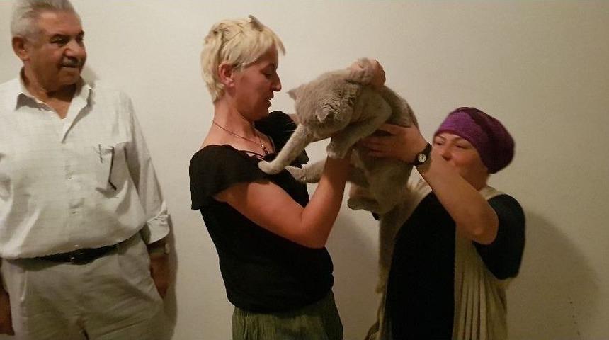 &Ccedil;alınan Kedilerini Dedektif Gibi İz S&uuml;r&uuml;p Buldular