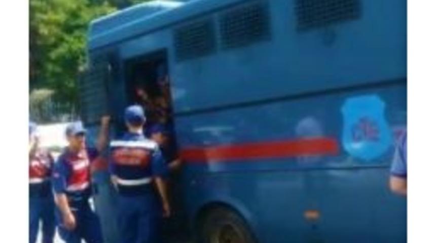 &lsquo;kedicikler&rsquo; Tekirdağ&rsquo;da