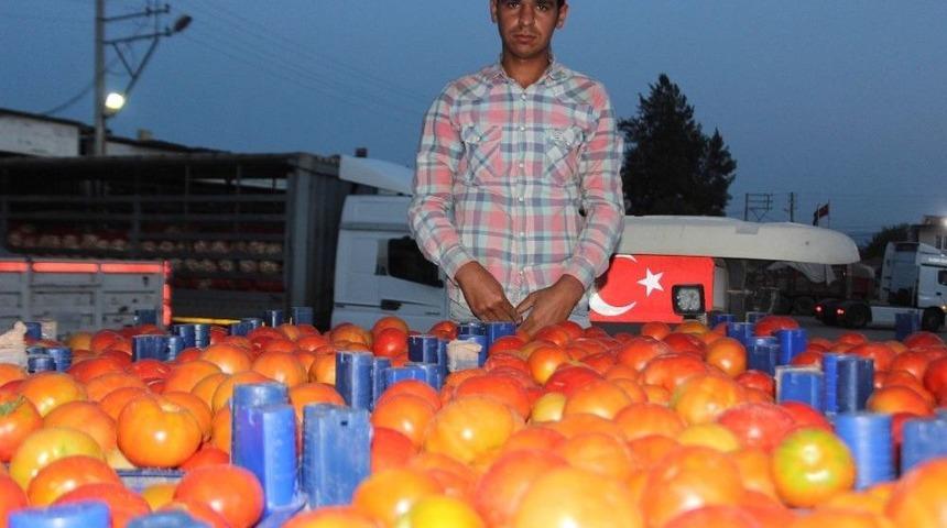 Domates &Uuml;reticisinin Y&uuml;z&uuml;n&uuml; G&uuml;ld&uuml;rd&uuml;