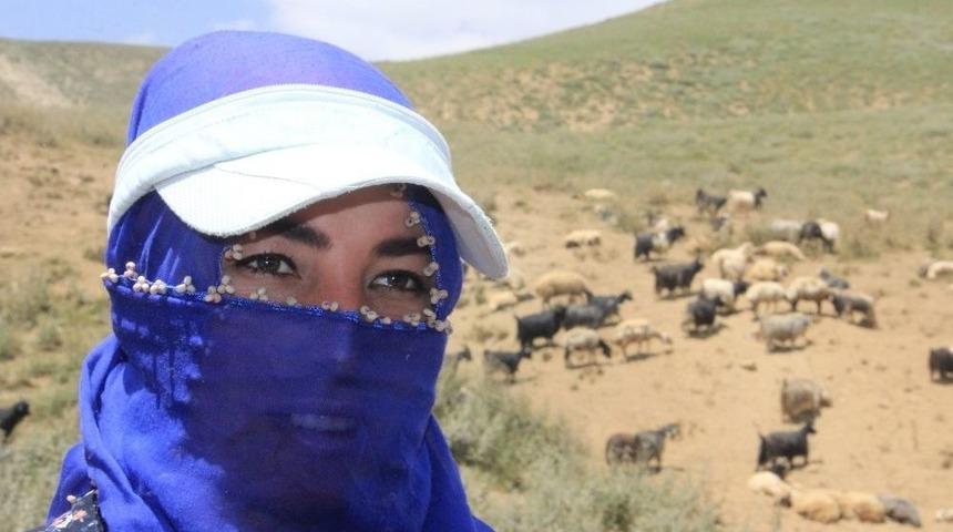 Hakkarili Berivanların Zorlu Mesaisi