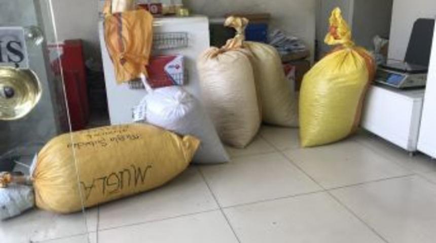 Kargolar Ve Otogarlar Fındık &Ccedil;uvalları İle Doldu