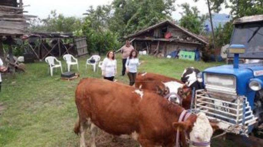 İşkur, Eski H&uuml;k&uuml;ml&uuml;leri Ve Engellileri İş Sahibi Yapıyor