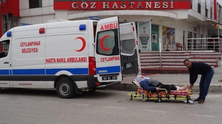 Ceylanpınar Belediyesi Şifa Dağıtıyor