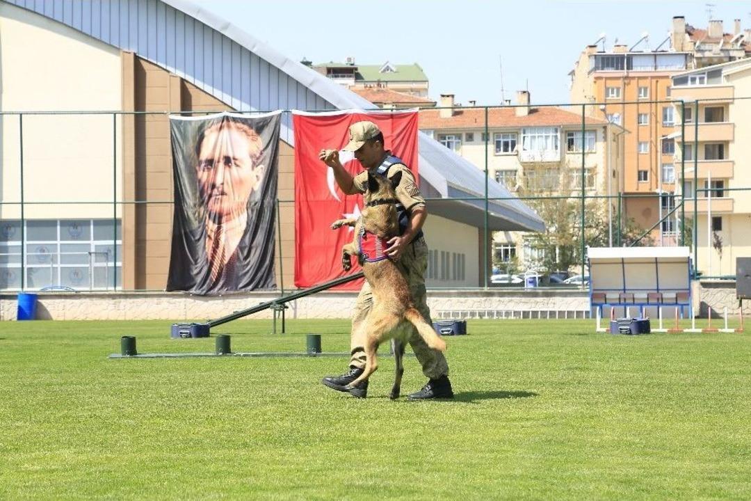 Jakem Komutanlığına Bağlı K&ouml;peklerin G&ouml;sterileri Nefesleri Kesti
